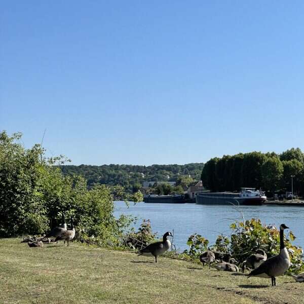 Bords de Seine à Thomery, site de réservation en ligne Ambiance Seine réalisé par Subotaï