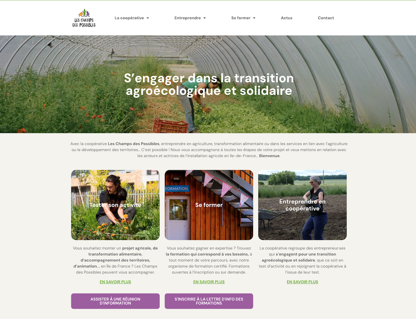 Avant la refonte du site WordPress - page d'accueil